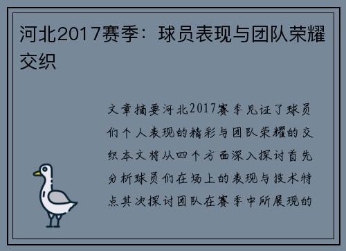 河北2017赛季：球员表现与团队荣耀交织