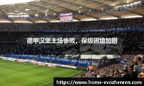 EVO视讯