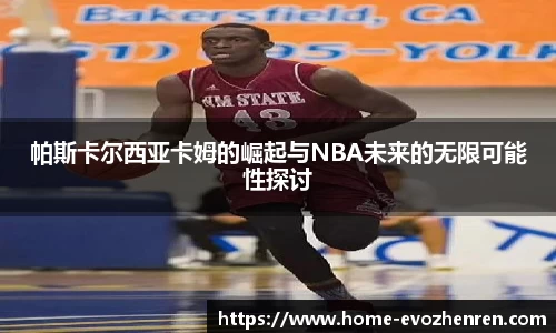 EVO视讯官网平台